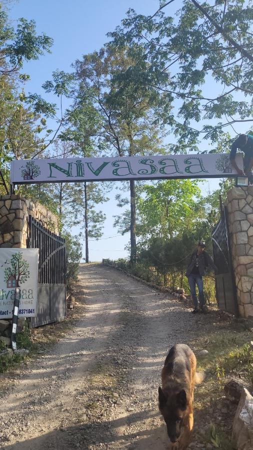 Nivasaa, The Nature'S Home Ντεχραντούν Εξωτερικό φωτογραφία
